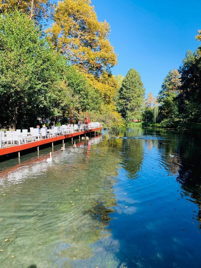 Luxurious Apartment Lake View Pogradec Bagian luar foto